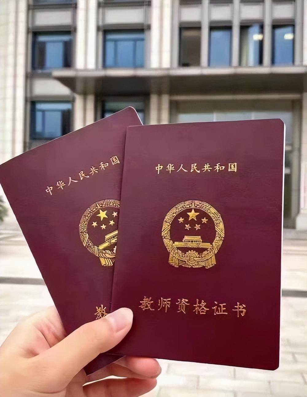 公司团队
